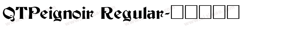 QTPeignoir Regular字体转换